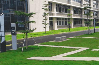 綠化苗木移植過(guò)程中，土球散了怎么辦？ 別急，園林公司有辦法